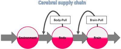 Proximal Disruption of Brain Energy Supply Raises Systemic Blood Glucose: A Systematic Review